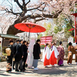 神社挙式プラン